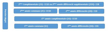 Le C.E.B., C’est Quoi ? | Inser'action